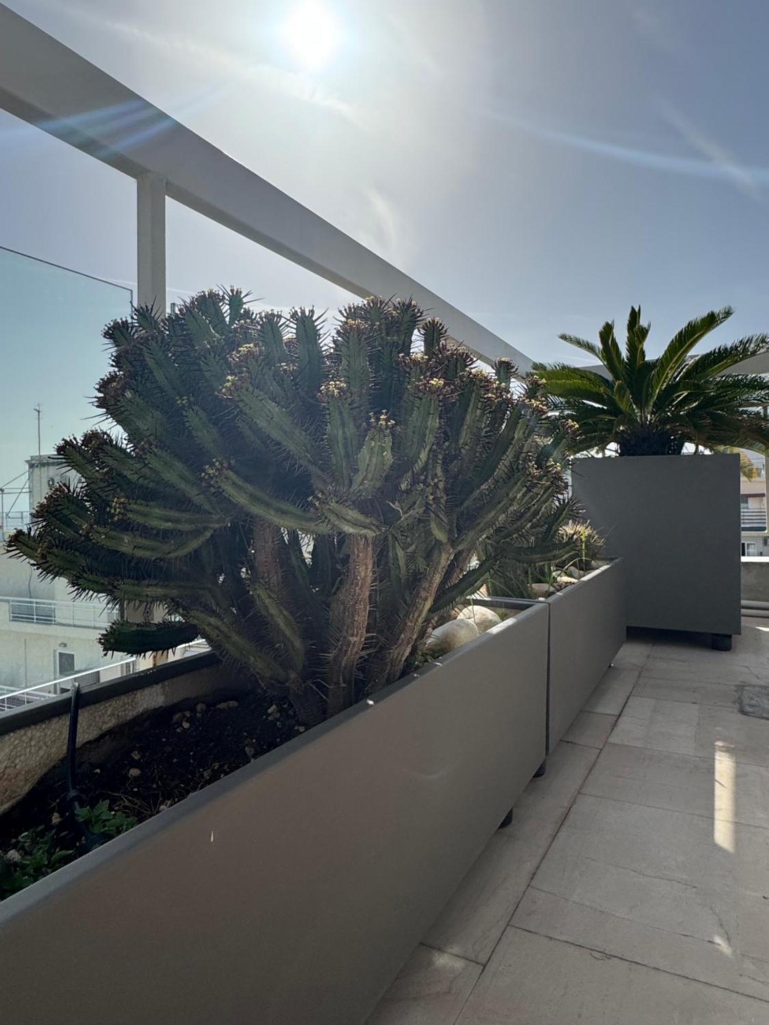 Appartamento Sea Horizon Penthouse Flat Atene Esterno foto